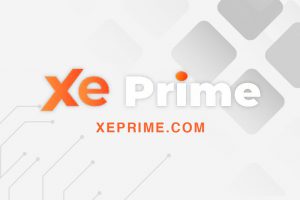 XE Prime Review – Everything You Need To Know About Xeprime.com