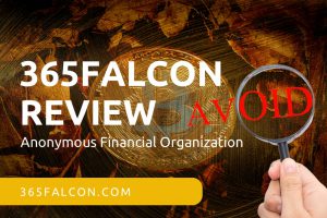 365Falcon Review – Anonymous Financial Organization