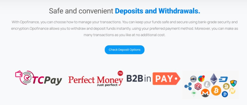 OpoFinance Review – Do Not Fall For This Cunning Trap