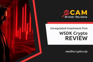 WSDK Crypto Review – What Makes This Company So Suspicious?