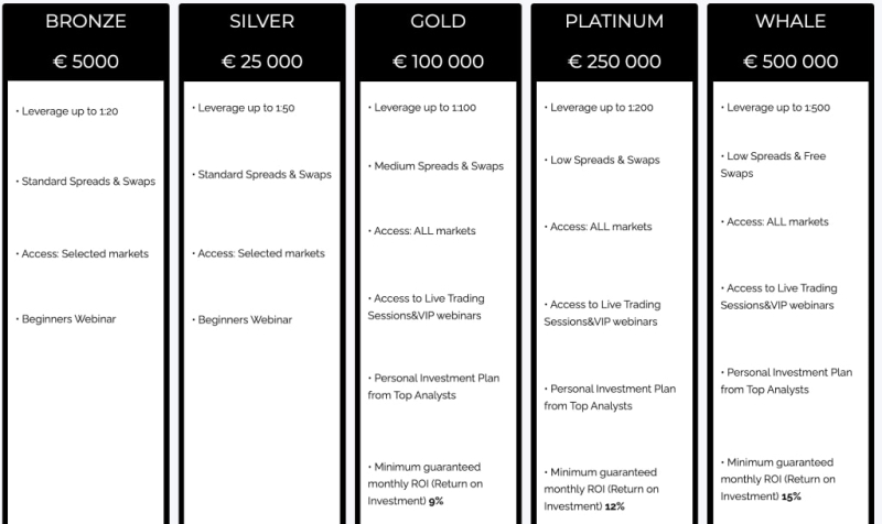 Capital Whale Review – Is This Broker Reliable And Safe?