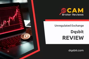 Dqsbit Review – Protecting Your Crypto Wallet As The Key Mission