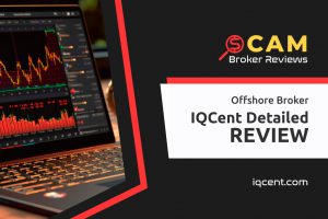 IQCent Review: Platform Performance and User Insights